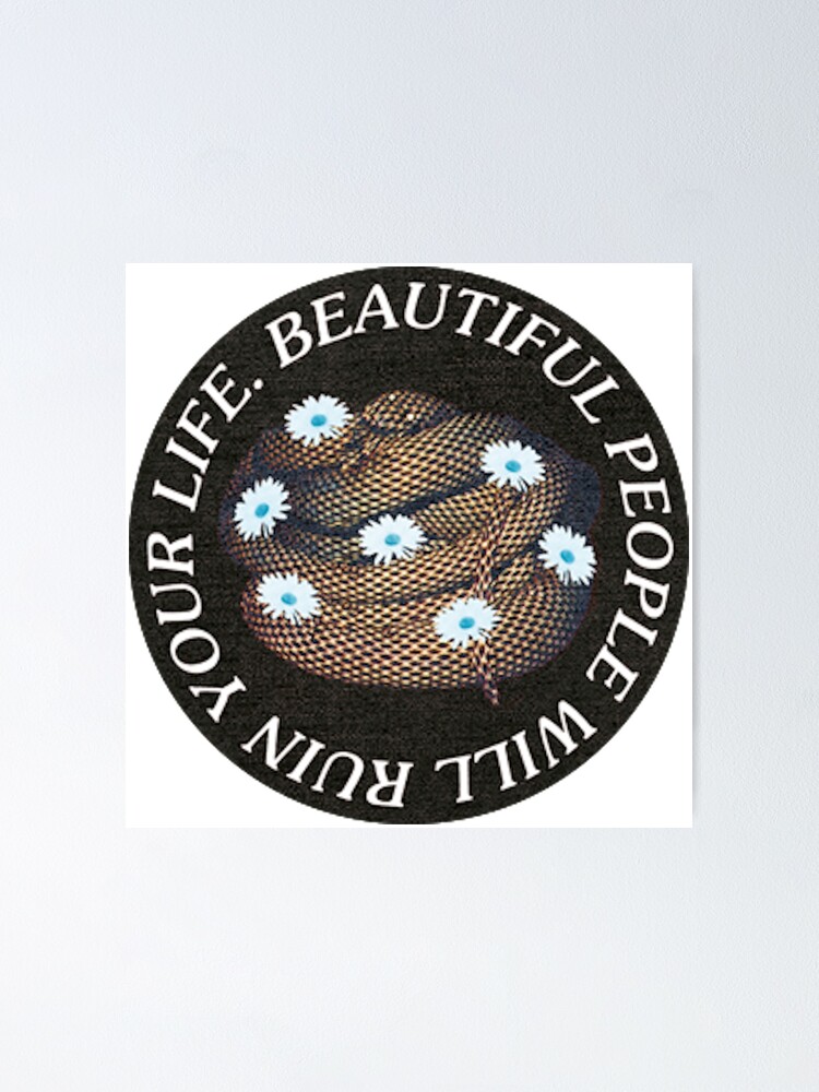 the-wombats-beautiful-people-will-ruin-your-life-poster-for-sale-by
