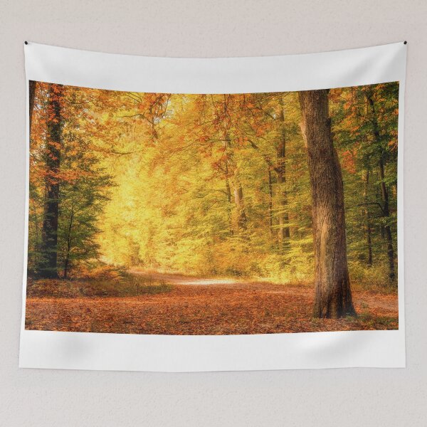 Item preview, Golden Forest in October designed and sold by Philippe Sainte-Laudy.