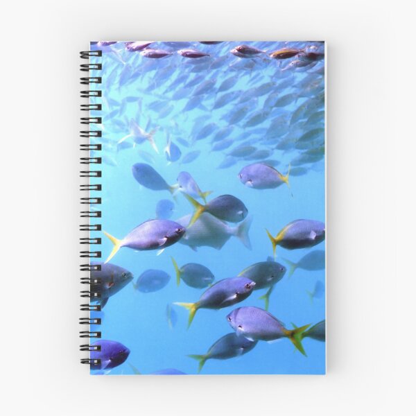 Item preview, Fish of the Great Barrier Reef designed and sold by bluegumbill.