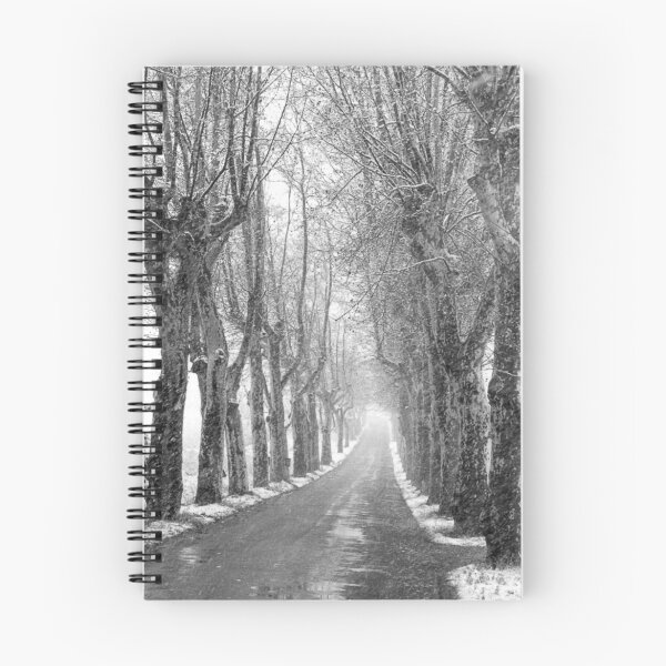 Item preview, Vanishing  Point designed and sold by Paul Pasco.