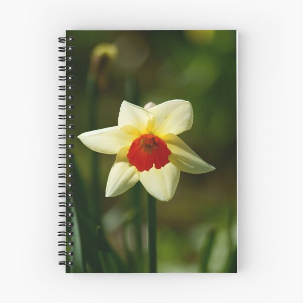 Item preview, Backlit Narcissus designed and sold by Andy Beattie.