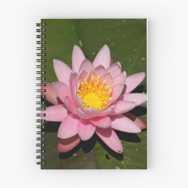 Item preview, Pink Lily designed and sold by Jason Dymock Photography.