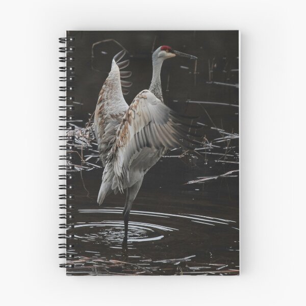 Item preview, The Crane Ballet #2 designed and sold by Ken McElroy.