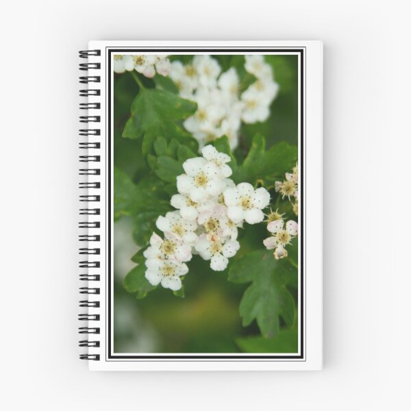 Item preview, Hawthorn in bloom designed and sold by Andy Beattie.