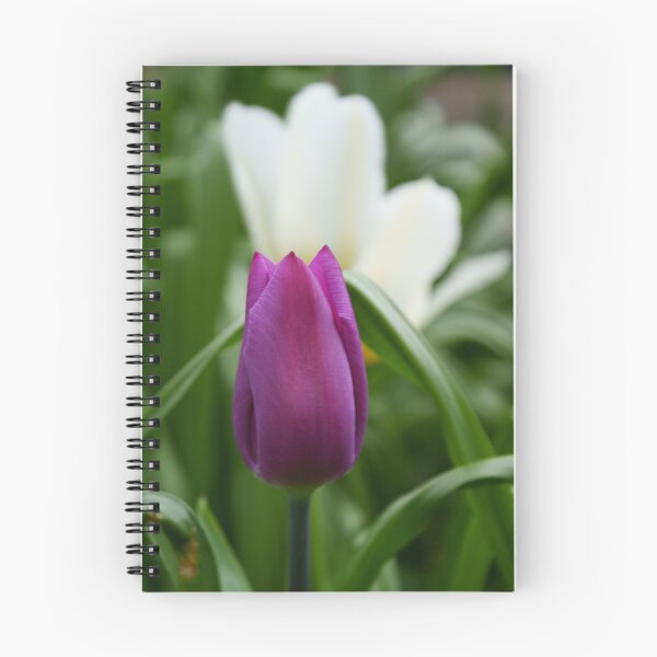 Item preview, Purple Tulip designed and sold by Andy Beattie.