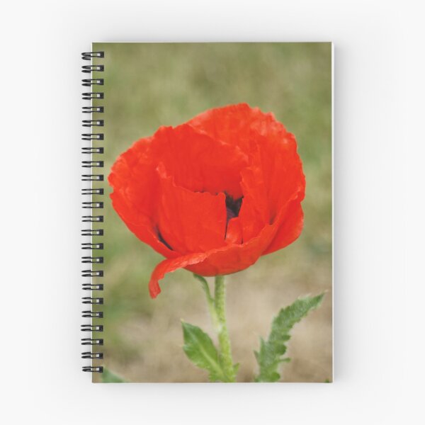 Item preview, Red Poppy designed and sold by Andy Beattie.