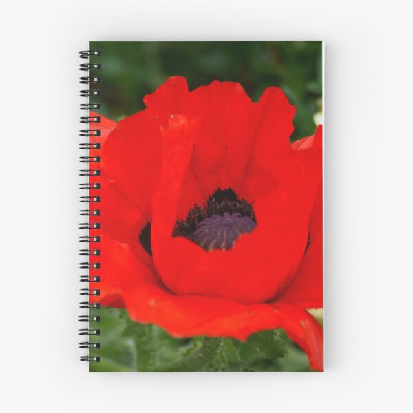 Item preview, Red Poppy designed and sold by Andy Beattie.