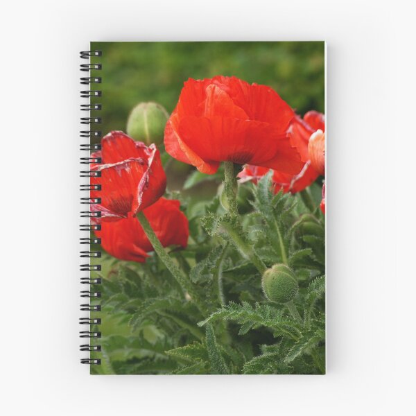 Item preview, Red Poppy designed and sold by Andy Beattie.