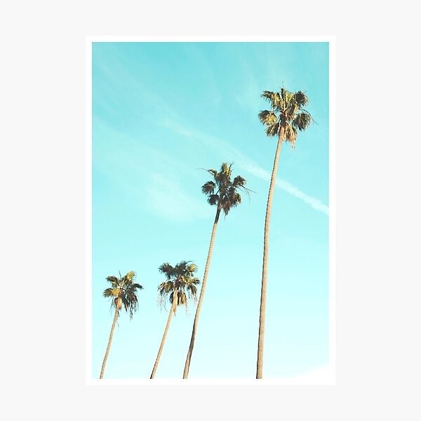 Item preview, Palm Trees designed and sold by muharko.
