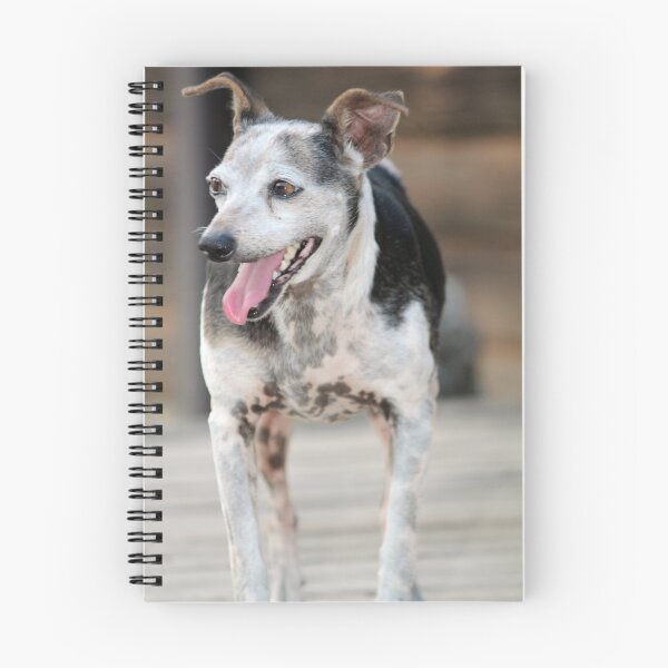 Item preview, Ratt Terrier designed and sold by DebbieCHayes.