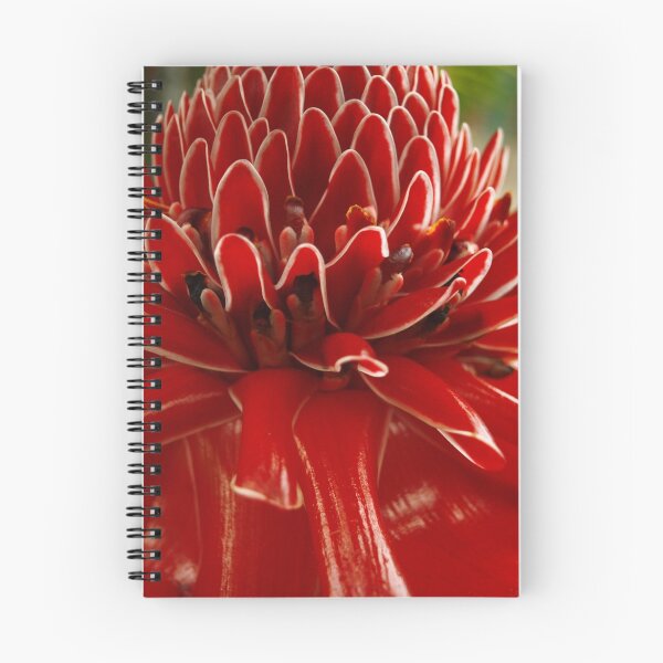 Item preview, Torch Ginger, Costa Rica, Piedades, Costa Rica designed and sold by Guy C. André Tschiderer.