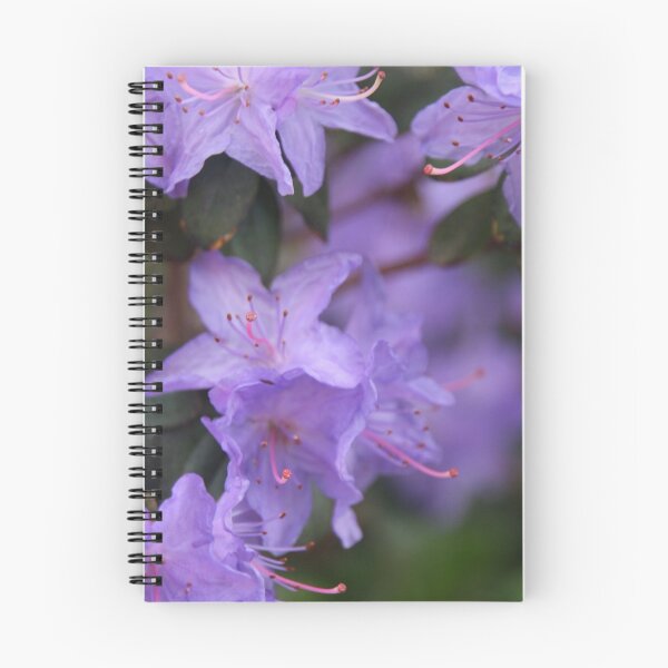 Item preview, A walk in the garden,Government House Grounds,Canberra designed and sold by elphonline.