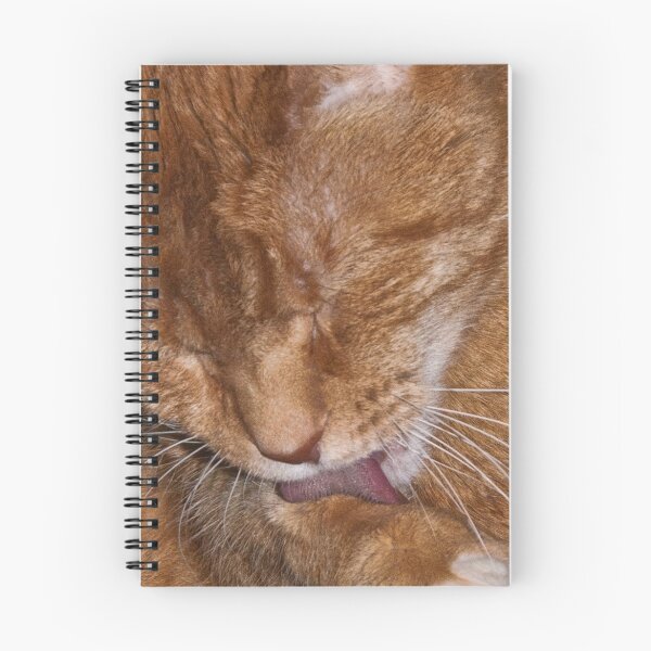 Item preview, Tidy designed and sold by Joy  Rector.