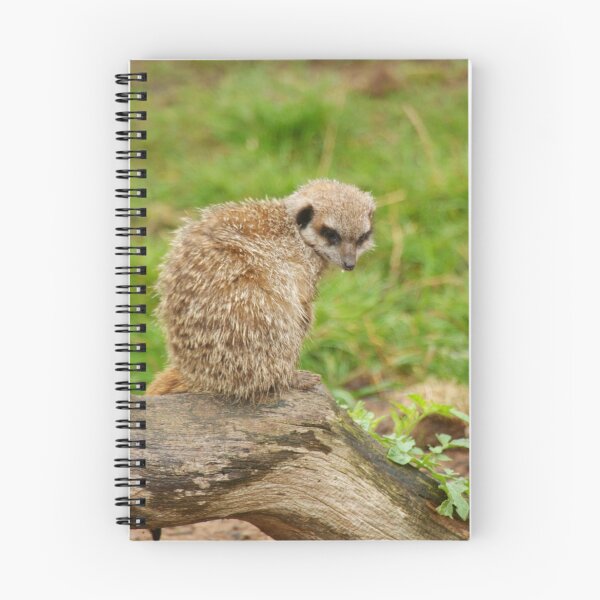 Item preview, Meerkat designed and sold by Andy Beattie.