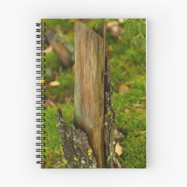 Item preview, Still standing designed and sold by kawe.
