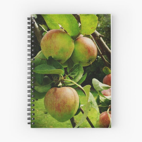 Item preview, Apple Tree designed and sold by Sarah Couzens.