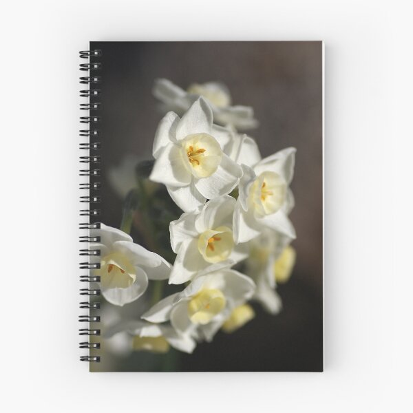 Item preview, Jonquils designed and sold by Joy Watson - Natural Light Photography .