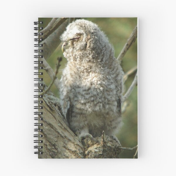 Item preview, Fluffy owl designed and sold by woodlandninja.