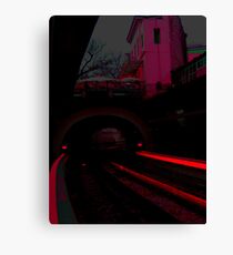 Red-ily into the night Canvas Print