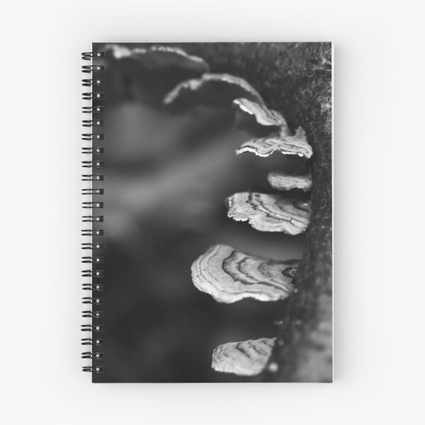 Item preview, Escalera de Faery designed and sold by Hannah Welbourn.