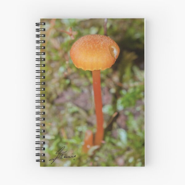 Item preview, WAM Series - 05 designed and sold by DigitallyStill.