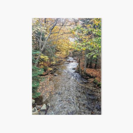 stream with foliage Art Board Print