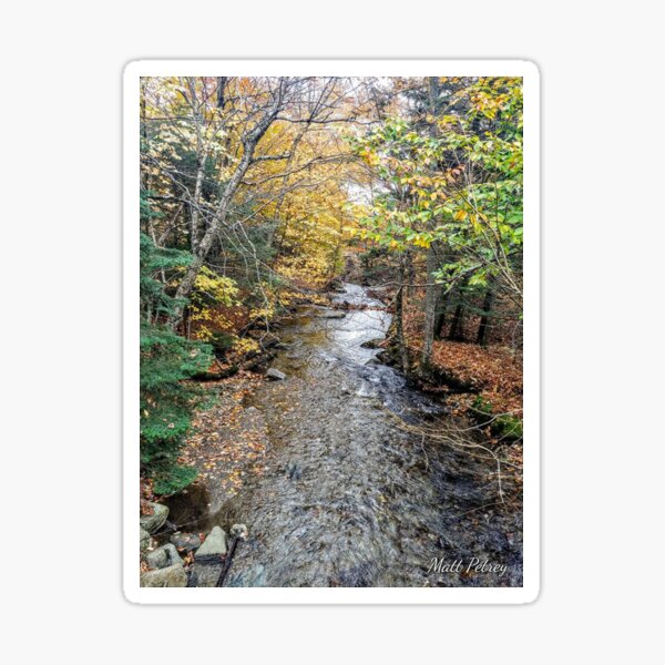 stream with foliage Sticker