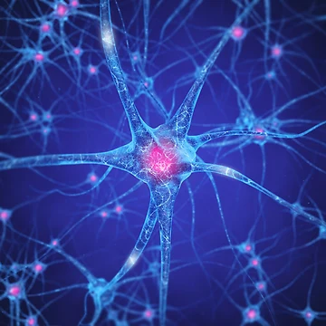 Artwork thumbnail, Neurons by nobeastsofierce