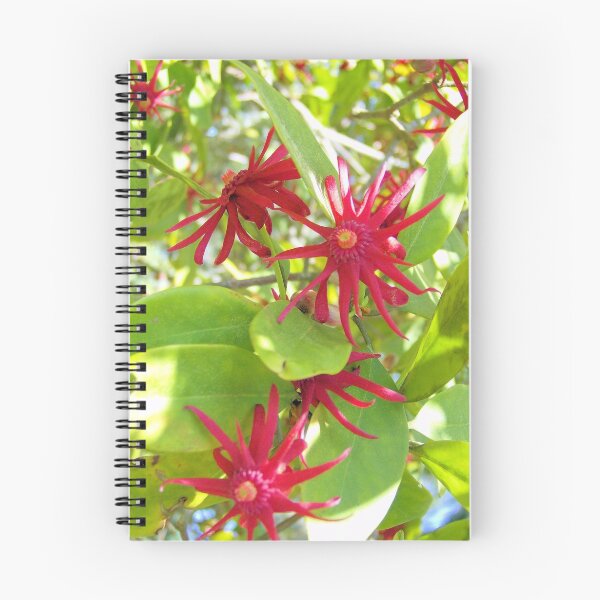 Item preview, Florida Anise designed and sold by What I See by Dawne.