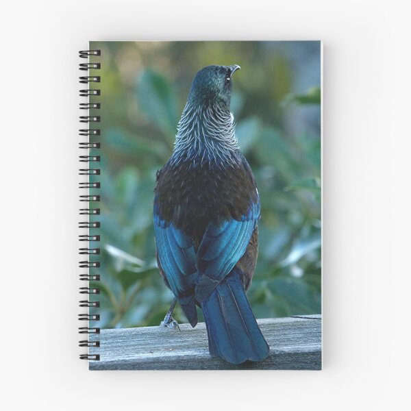 Item preview, My new coat.........young female Tui........! designed and sold by Roy  Massicks.