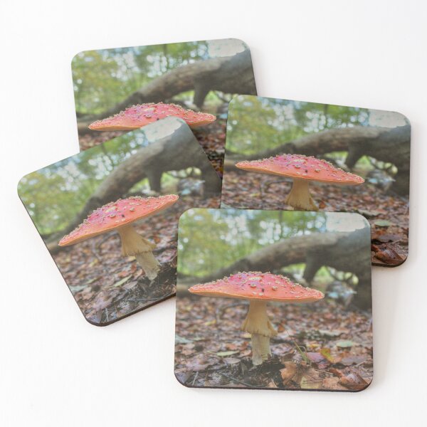 Item preview, A Faerie's World designed and sold by Vicki Spindler (VHS Photography).