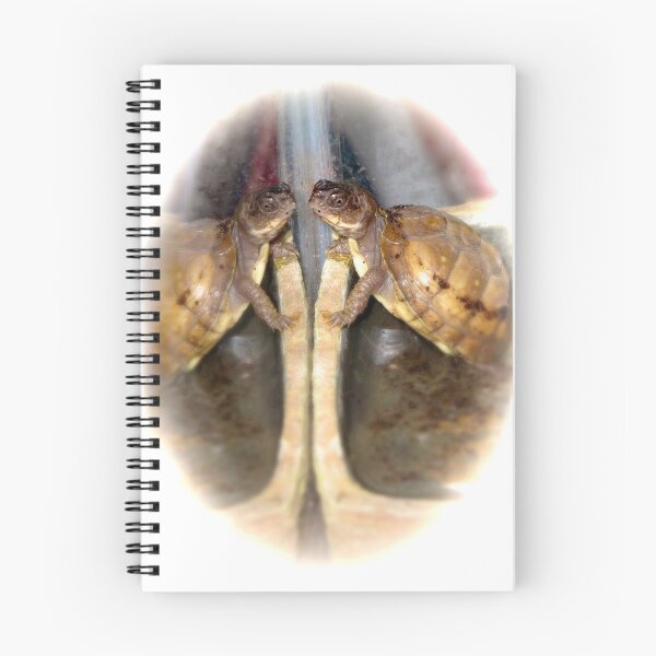 Item preview, Baby Box Turtle, Feathered Edges designed and sold by Kabbrisons.