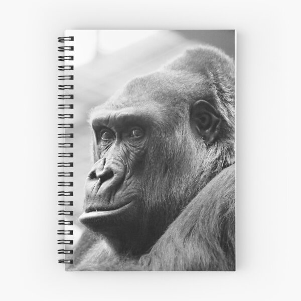 Item preview, Zaire Western Lowland Gorilla designed and sold by Sheila Smith.