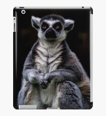 Porträt eines Ring angebundenen Lemur iPad-Hülle & Klebefolie