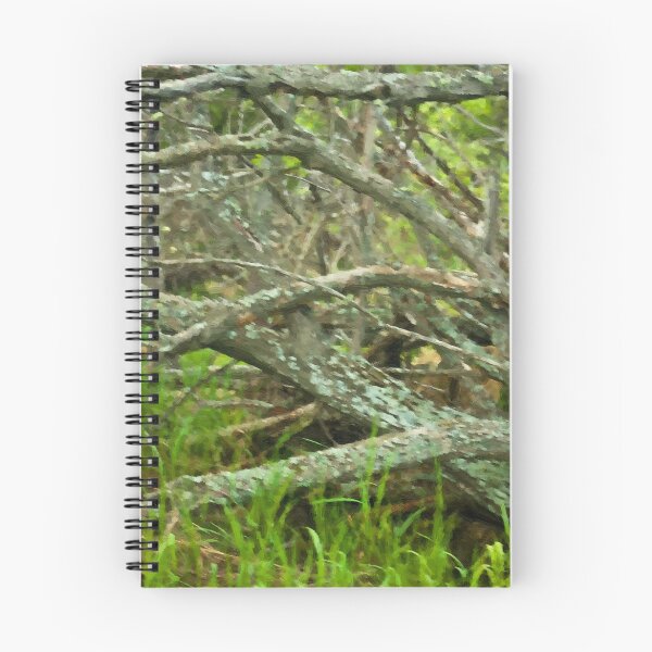 Artikelvorschau, Criss Cross Trees - Digital Oil entworfen und verkauft von Sandra Foster.