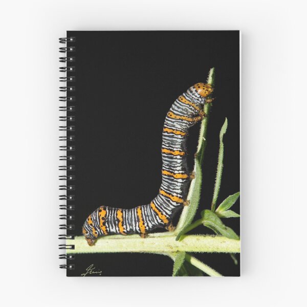 Item preview, Beautiful Wood Nymph Moth Caterpillar designed and sold by DigitallyStill.