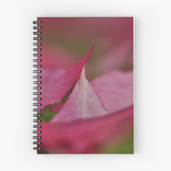 Item preview, When autumn leaves start to fall.... designed and sold by Heather Thorsen.