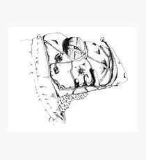 Grim Watcher Photographic Print