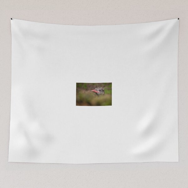 Item preview, Peek-a-Boo Ostrich designed and sold by Nigel R Bell Photography.