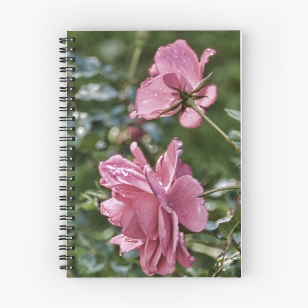 Item preview, Lingering Roses designed and sold by lynn carter.