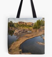 Oasis Fint Tote Bag