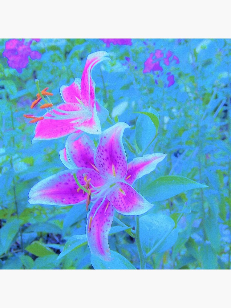 Fuchsia Stargazer Lilies In The Blue Garden Tote Bag By Myrubiogarden Redbubble