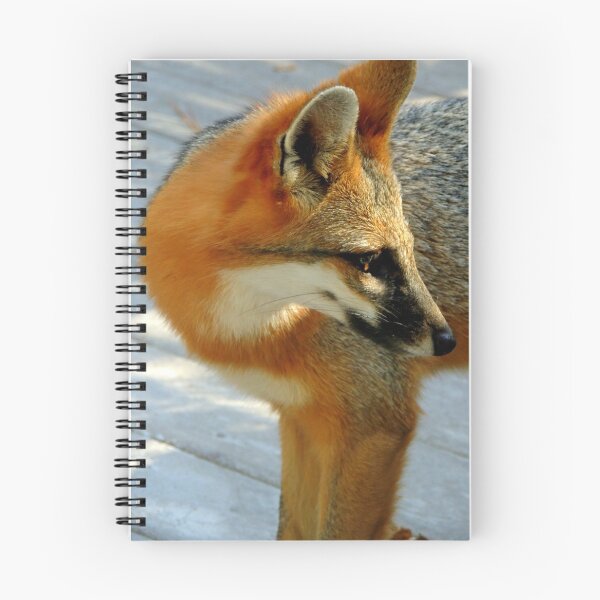 Item preview, Grey Fox designed and sold by Barnbk02.