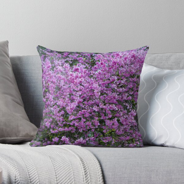 Signs of Spring Throw Pillow