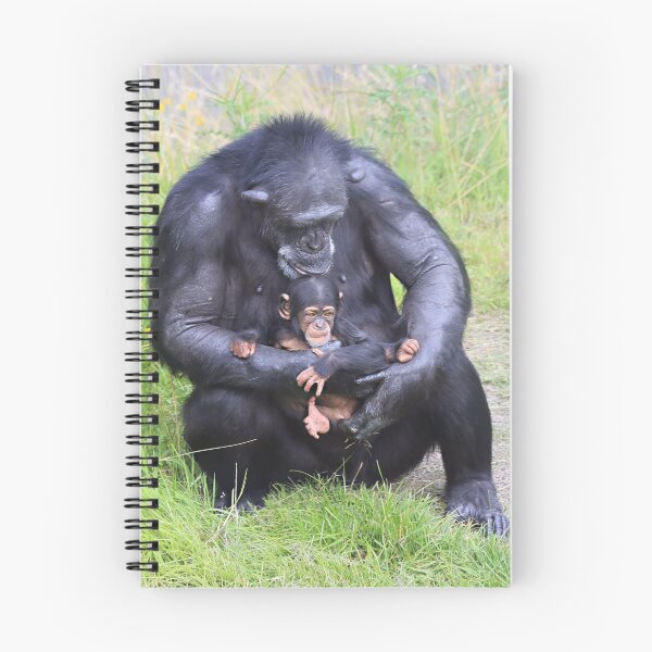 Item preview, Chimpanzee and Baby designed and sold by Sheila Smith.