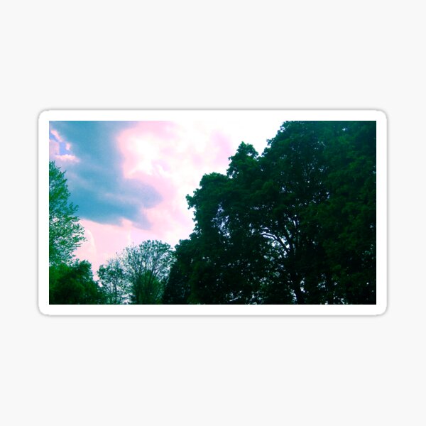 Trees and Colorful Sky Nature Scene Sticker