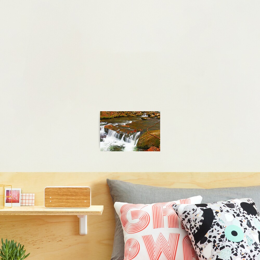 Item preview, Photographic Print designed and sold by rambo121.