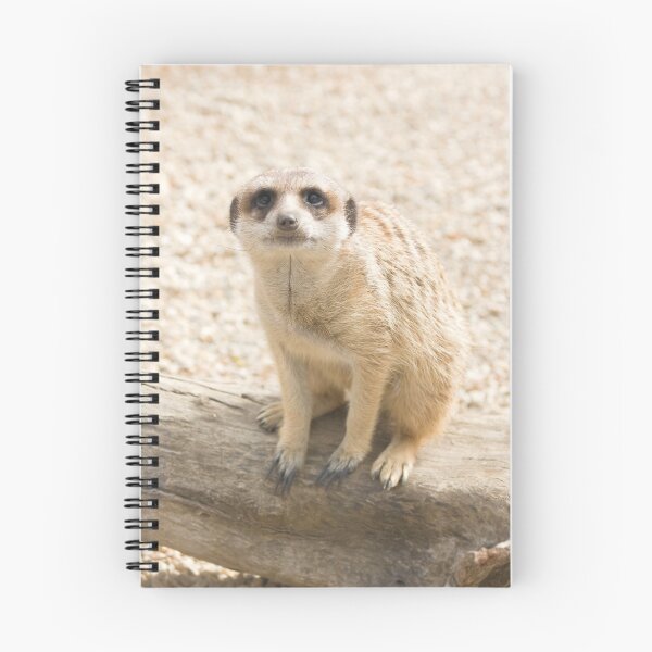Item preview, Meerkat  designed and sold by Aden Brown.
