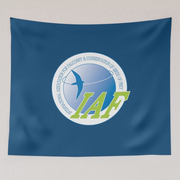Item preview, International Association for Falconry and Conservation of Birds of Prey designed and sold by Robert Diebold.