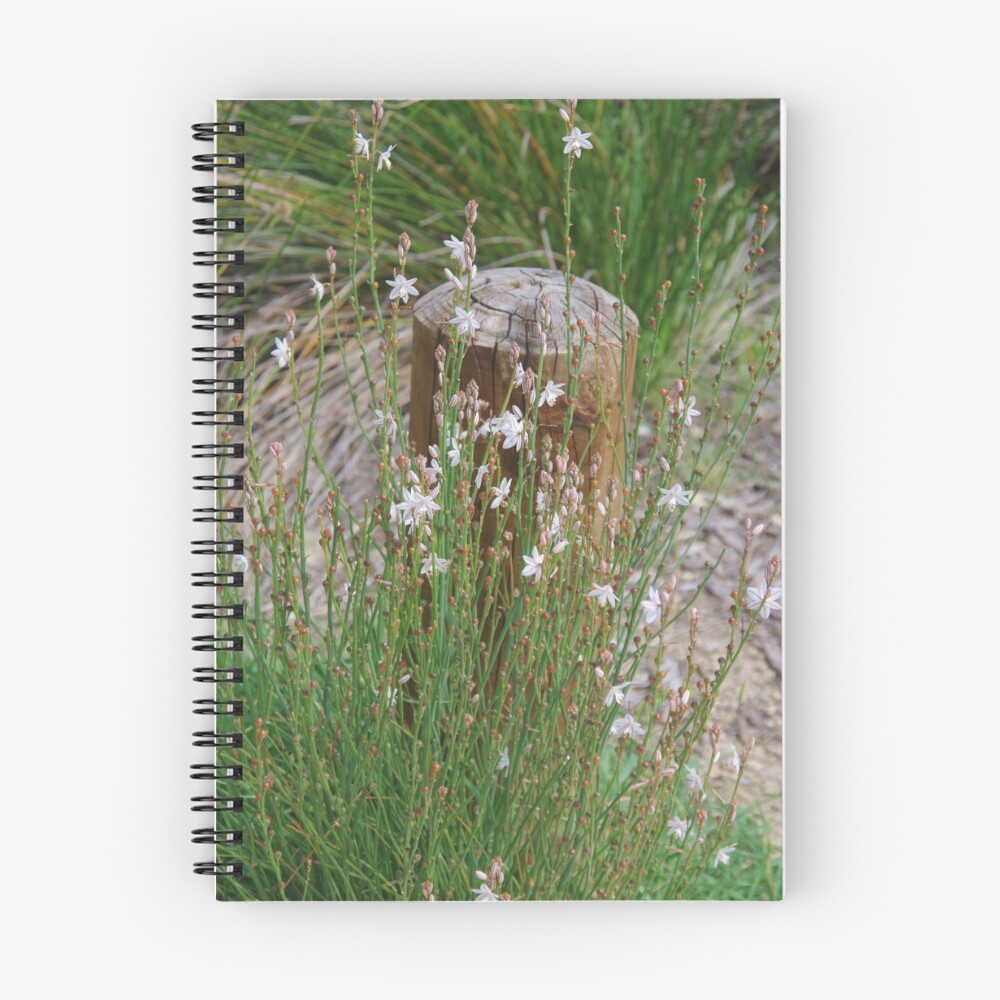 Item preview, Spiral Notebook designed and sold by lezvee.